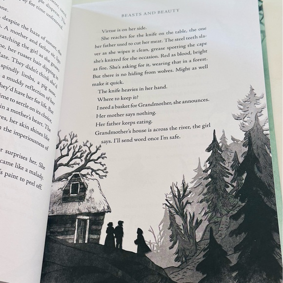 Beasts and Beauty Dangerous Tales Soman Chainani Hardcover Book - Picture 4 of 6